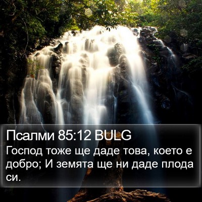 Псалми 85:12 BULG Bible Verse Image
