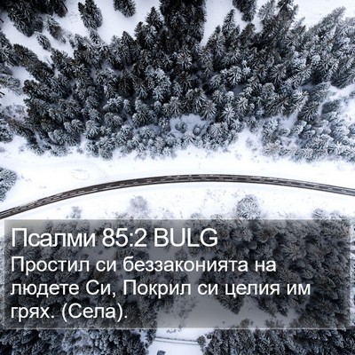 Псалми 85:2 BULG Bible Verse Image