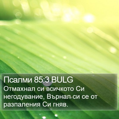 Псалми 85:3 BULG Bible Verse Image