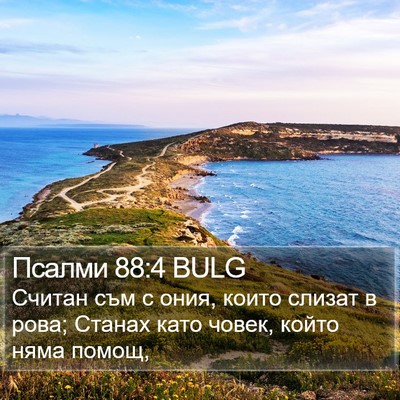 Псалми 88:4 BULG Bible Verse Image