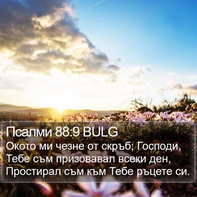 Псалми 88:9 BULG Bible Verse Image