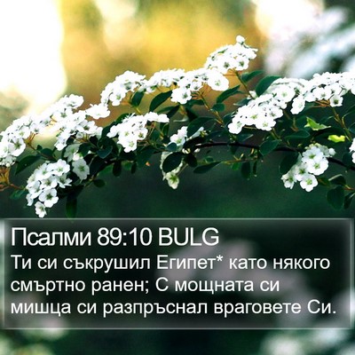Псалми 89:10 BULG Bible Verse Image