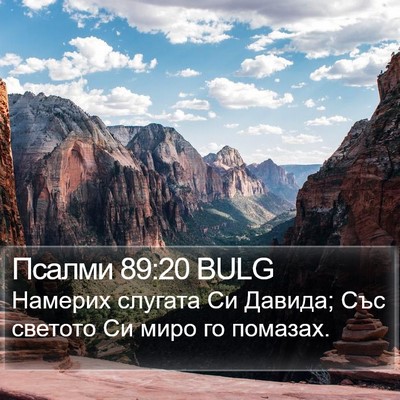 Псалми 89:20 BULG Bible Verse Image