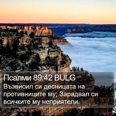 Псалми 89:42 BULG Bible Verse Image