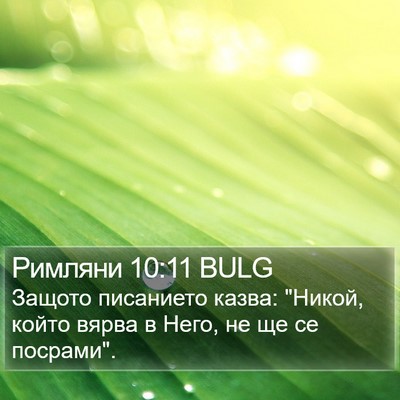 Римляни 10:11 BULG Bible Verse Image