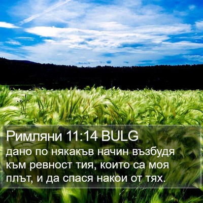 Римляни 11:14 BULG Bible Verse Image