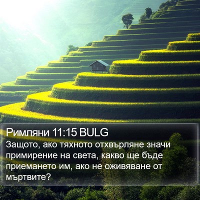 Римляни 11:15 BULG Bible Verse Image