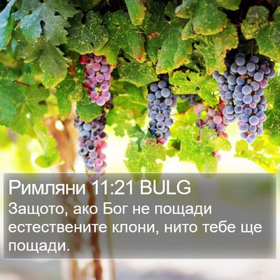 Римляни 11:21 BULG Bible Verse Image