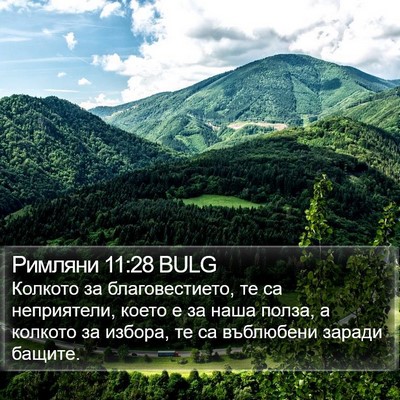 Римляни 11:28 BULG Bible Verse Image