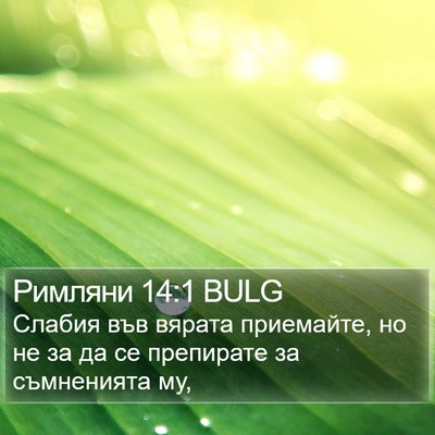 Римляни 14:1 BULG Bible Verse Image