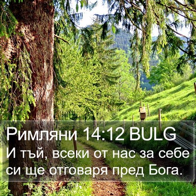 Римляни 14:12 BULG Bible Verse Image