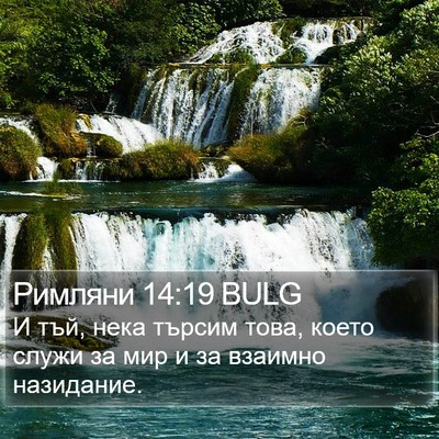 Римляни 14:19 BULG Bible Verse Image
