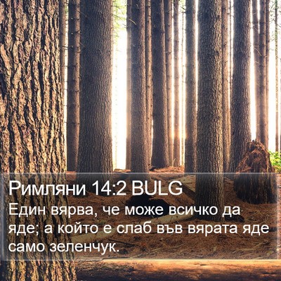 Римляни 14:2 BULG Bible Verse Image
