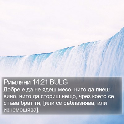 Римляни 14:21 BULG Bible Verse Image