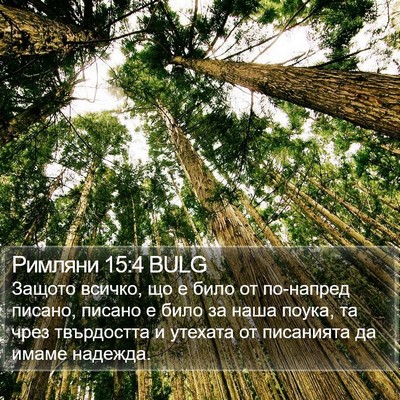 Римляни 15:4 BULG Bible Verse Image