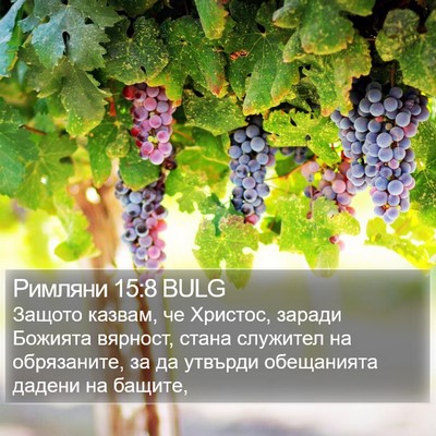 Римляни 15:8 BULG Bible Verse Image