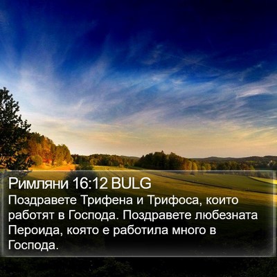 Римляни 16:12 BULG Bible Verse Image
