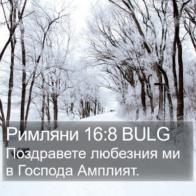 Римляни 16:8 BULG Bible Verse Image