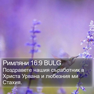 Римляни 16:9 BULG Bible Verse Image
