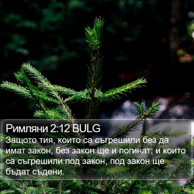 Римляни 2:12 BULG Bible Verse Image
