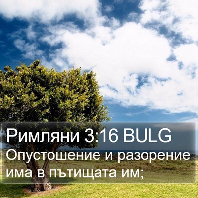 Римляни 3:16 BULG Bible Verse Image