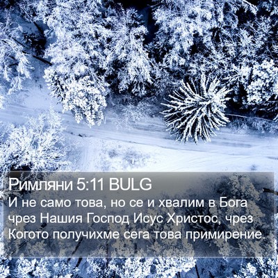 Римляни 5:11 BULG Bible Verse Image