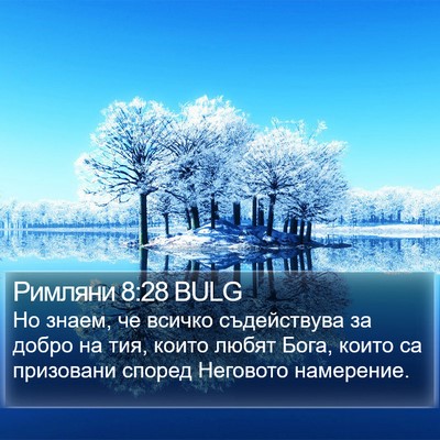 Римляни 8:28 BULG Bible Verse Image