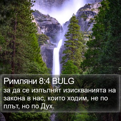 Римляни 8:4 BULG Bible Verse Image