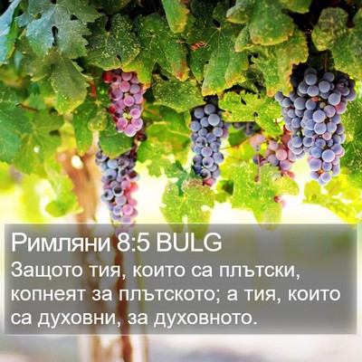 Римляни 8:5 BULG Bible Verse Image