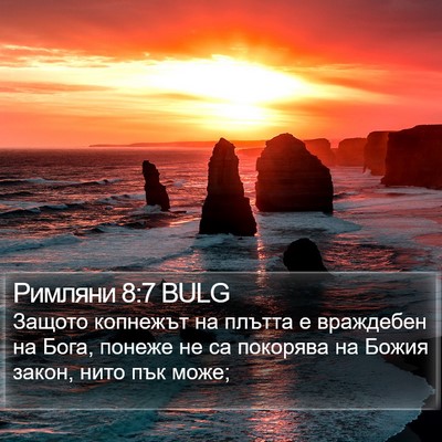 Римляни 8:7 BULG Bible Verse Image