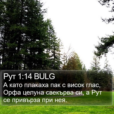 Рут 1:14 BULG Bible Verse Image