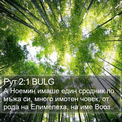 Рут 2:1 BULG Bible Verse Image
