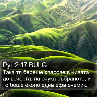 Рут 2:17 BULG Bible Verse Image