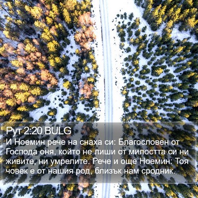 Рут 2:20 BULG Bible Verse Image