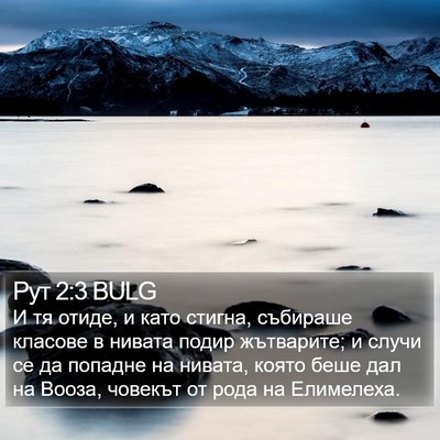 Рут 2:3 BULG Bible Verse Image