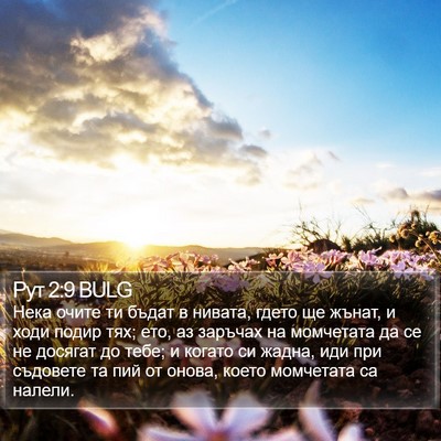 Рут 2:9 BULG Bible Verse Image