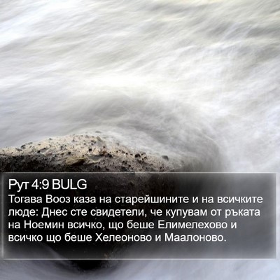 Рут 4:9 BULG Bible Verse Image