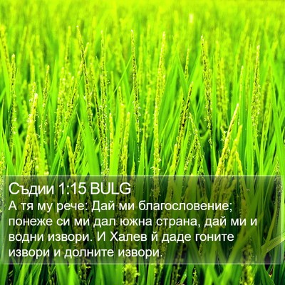 Съдии 1:15 BULG Bible Verse Image