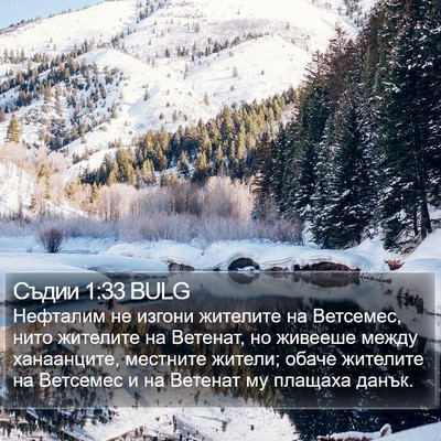 Съдии 1:33 BULG Bible Verse Image