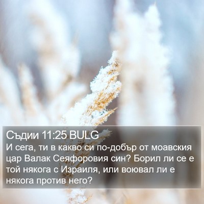 Съдии 11:25 BULG Bible Verse Image