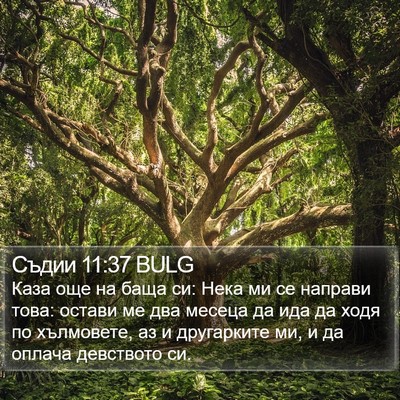 Съдии 11:37 BULG Bible Verse Image