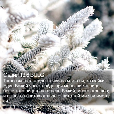 Съдии 13:6 BULG Bible Verse Image