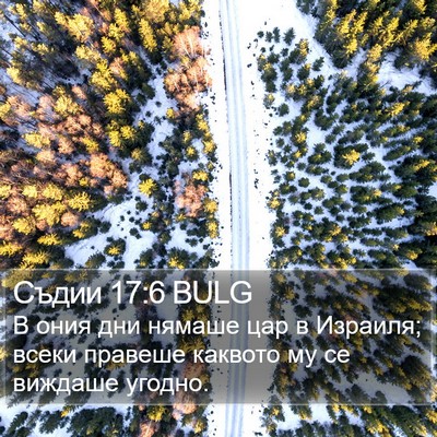 Съдии 17:6 BULG Bible Verse Image