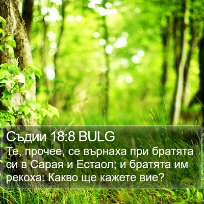Съдии 18:8 BULG Bible Verse Image