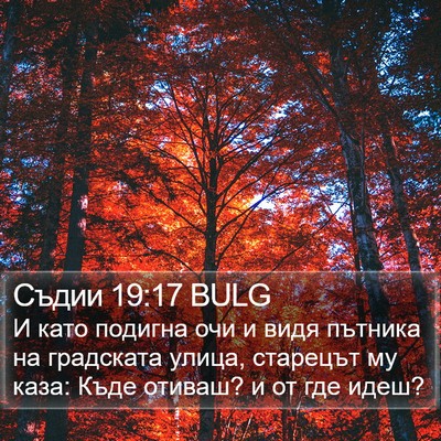 Съдии 19:17 BULG Bible Verse Image