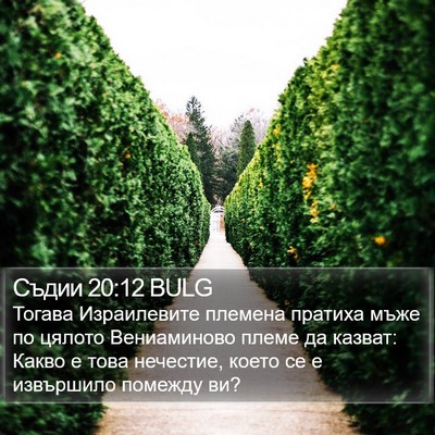 Съдии 20:12 BULG Bible Verse Image