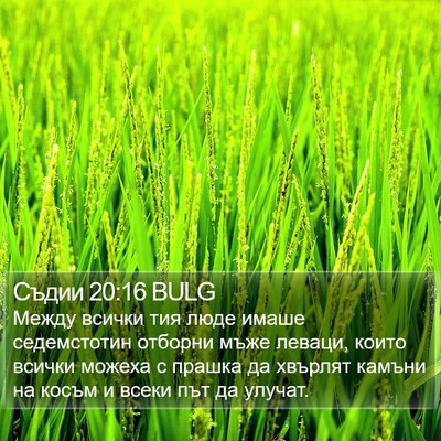 Съдии 20:16 BULG Bible Verse Image