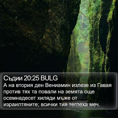 Съдии 20:25 BULG Bible Verse Image