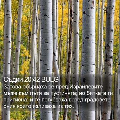 Съдии 20:42 BULG Bible Verse Image