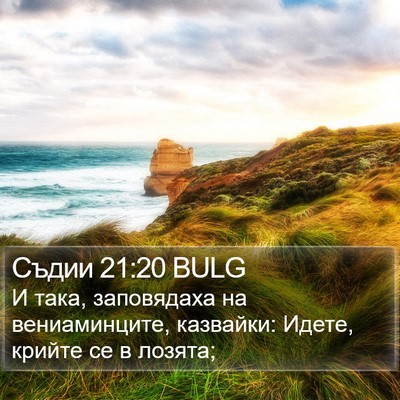 Съдии 21:20 BULG Bible Verse Image